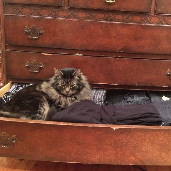 Meet your Posher - Picture 1 of 1